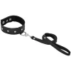 Sportsheets Leather Collar With Leash