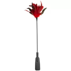 Sportsheets Sex & Mischief 2-in-1 Veer En Rijzweep