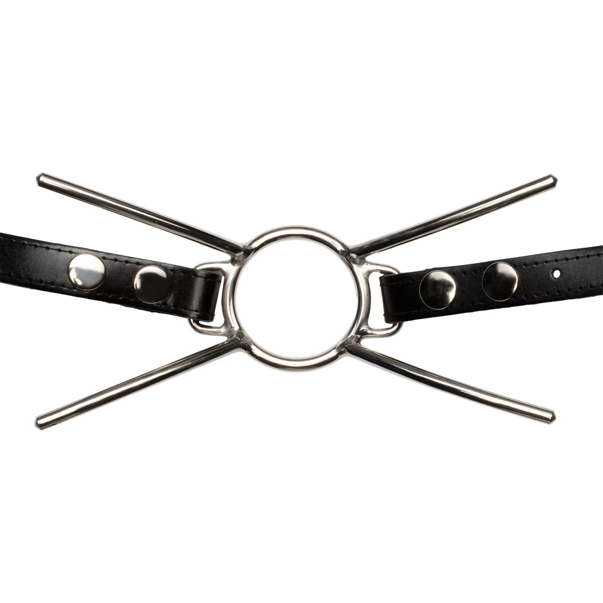 Cat Mouth Strap Steal Gag 1 Cat Mouth Strap Steal Gag