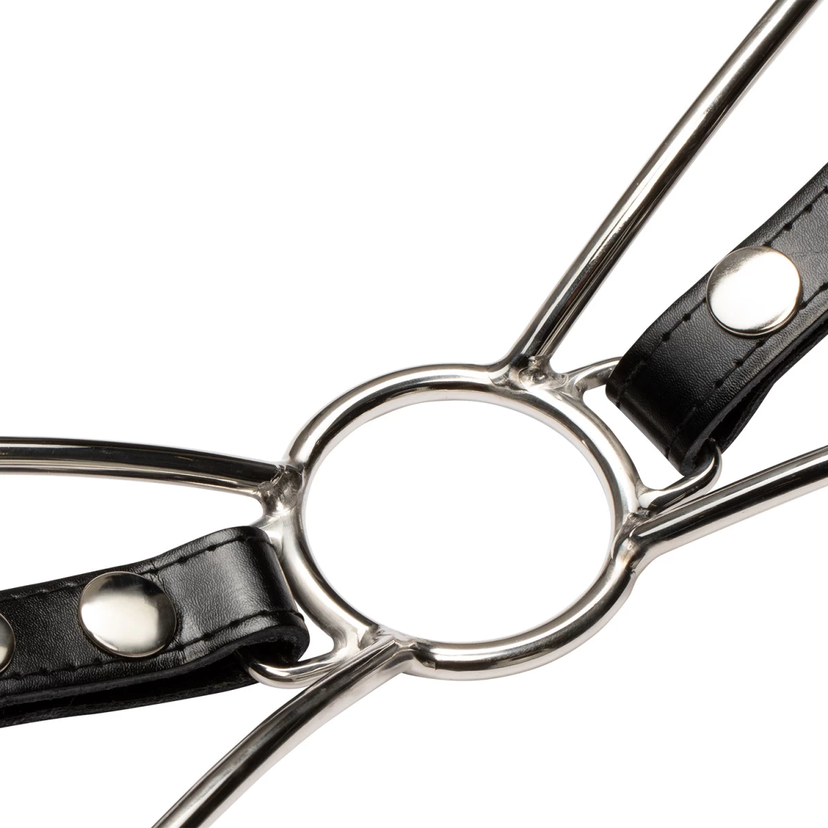 Cat Mouth Strap Steal Gag 4 Cat Mouth Strap Steal Gag - Afbeelding 4