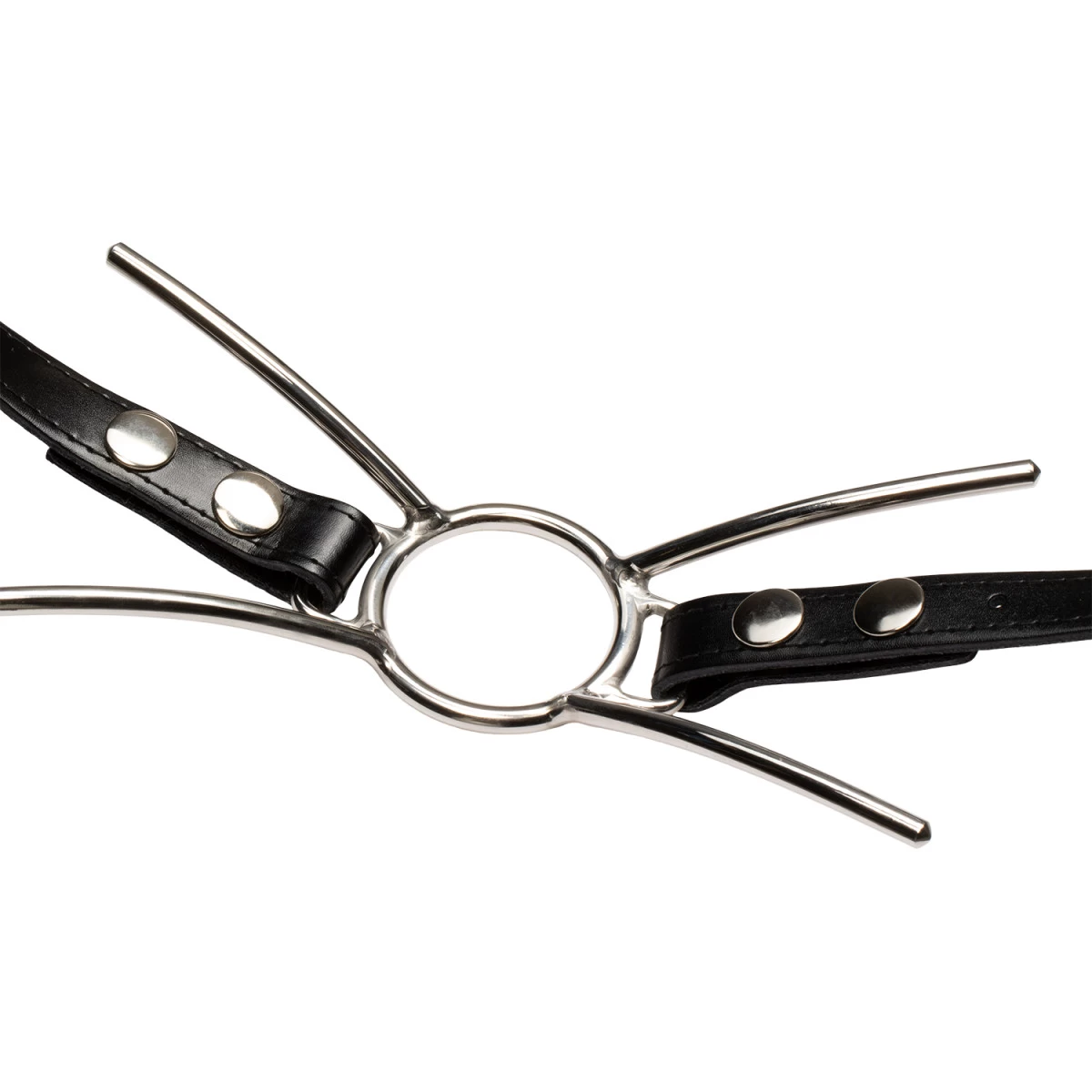 Cat Mouth Strap Steal Gag 3 Cat Mouth Strap Steal Gag - Afbeelding 3