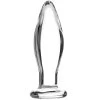 Sinful BumBum Glazen Buttplug Medium