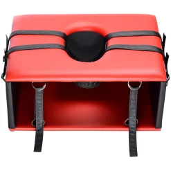 XR Brands Master Series Queening-seksstoel 7 XR Brands Master Series Queening-seksstoel -Sinful 23922 master series queening chair sexmobel 02 q100