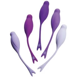 Minds Of Love Birdie Geishaballen Trainingsset