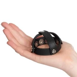 CalExotics COLT Leren C/B-band Met H-stukverdeler -Sinful 26335 colt leather h piece divider 50 hand q100