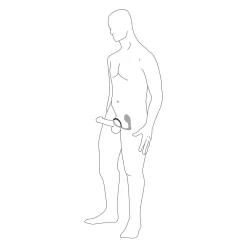 Pipedream Anal Fantasy Elite Oplaadbare Ass-Gasm Pro -Sinful ass gasm pro illustration 10 q100 2